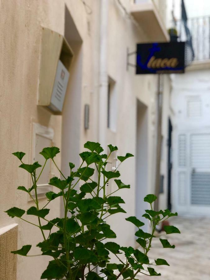 Itaca Home To Explorers In Polignano A Mare Exteriör bild